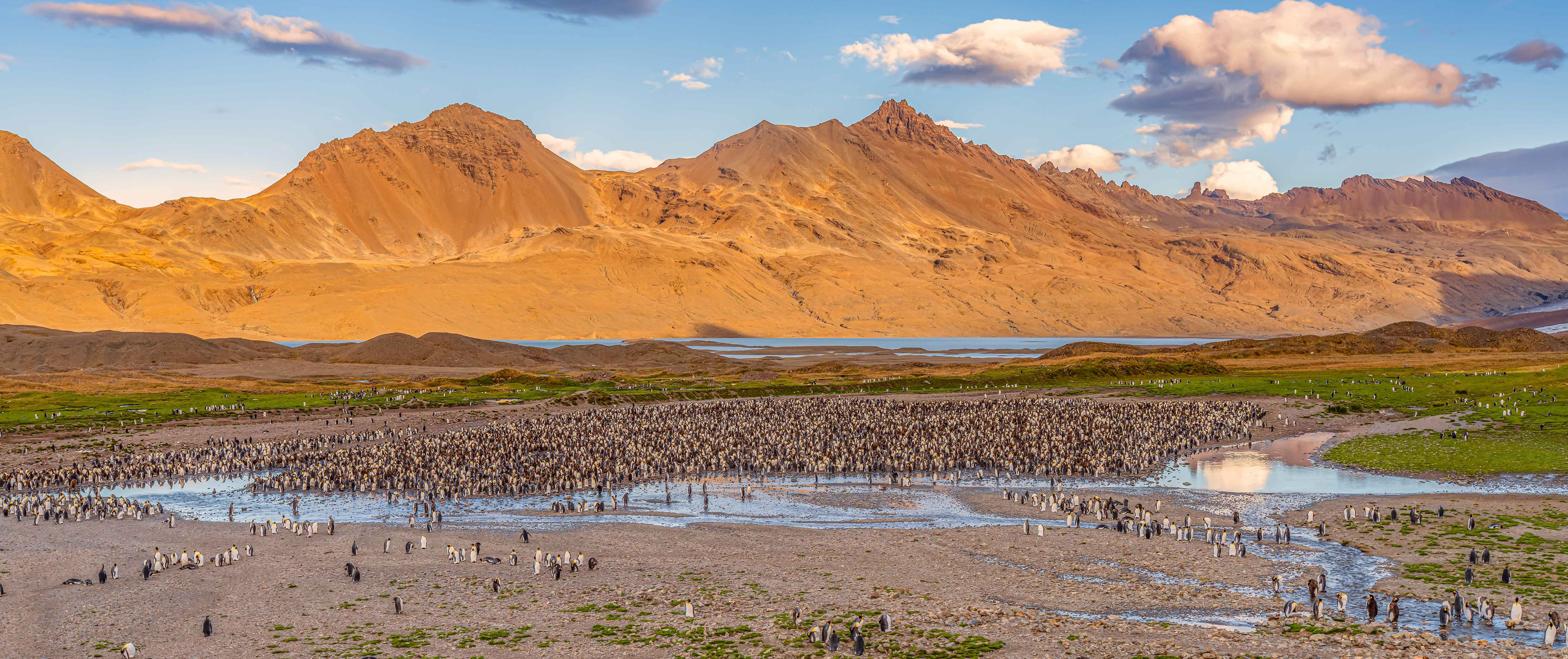 Falkland Islands & South Georgia
